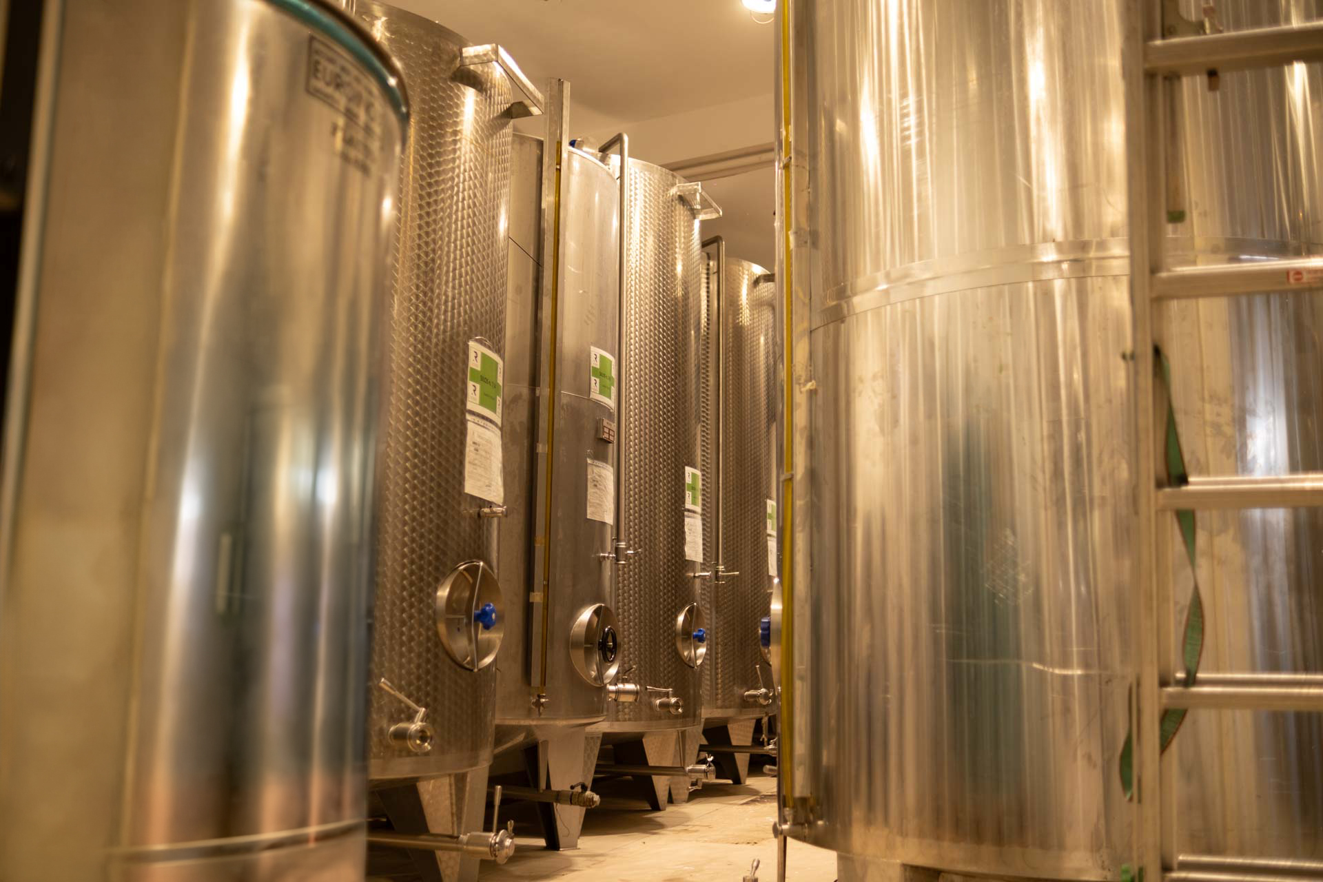Frantoio 5 Frantoio Raso Conservazione olio-1
